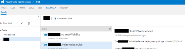 NugetPacakgeVSTSWeb